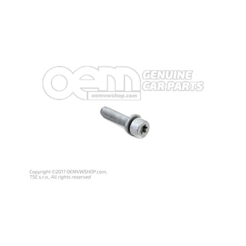 Hatlapfejű csavar (kombi) N  10660801