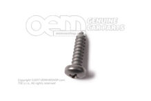 Ovális fejű panel csavar 4,8X19 N  01397520