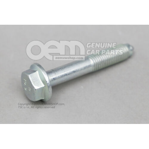 Hatlapfejű csavar N  10087403