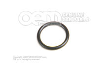O-Ring 11537610049