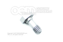 Banjo csavar 028130315 (1)