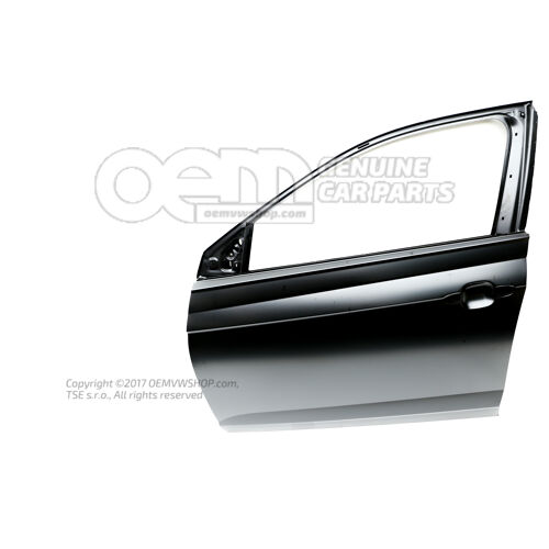 Ajtó 2G4831051P