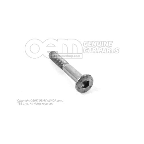 Ovális fejű süllyesztett csavar M8X58 N  10299503