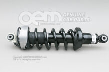 Lengéscsillapító, komplett Audi R8 Coupe/Spyder 42 420512020AJ (1)