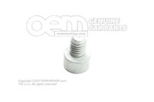 Dugófejű csavar hatlapfejű csatlakozófejjel N  10313302 (1)