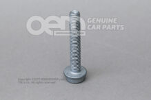 Dugófejű csavar belső többpontos fejjel N  91174301 (2)