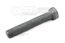 Hatlapfejű csavar M14X1,50X85 N  10306403 (1)