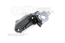 Gyorsító érzékelő 3C0616575B (1)