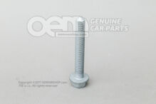 Hatlapfejű csavar N  10784701 (2)