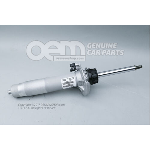 Spring Strut Edc, Front Left 31318008627