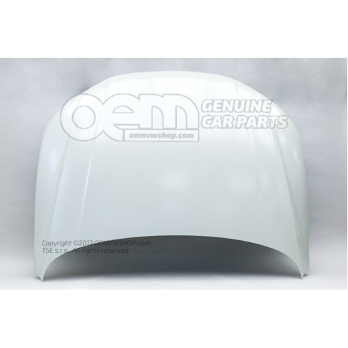 Motorháztető alapozott 80A823029  STL