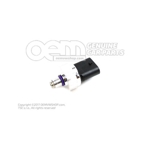 Nyomás és hőmérséklet érzékelő 4M0959603E