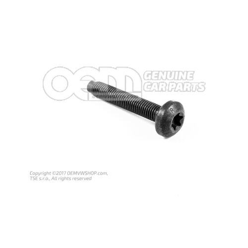 Hatlapfejű lapos fejű csavar M9X55 WHT005631B