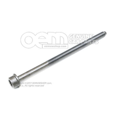Dugófejű csavar belső többpontos fejjel M10X170 WHT005739