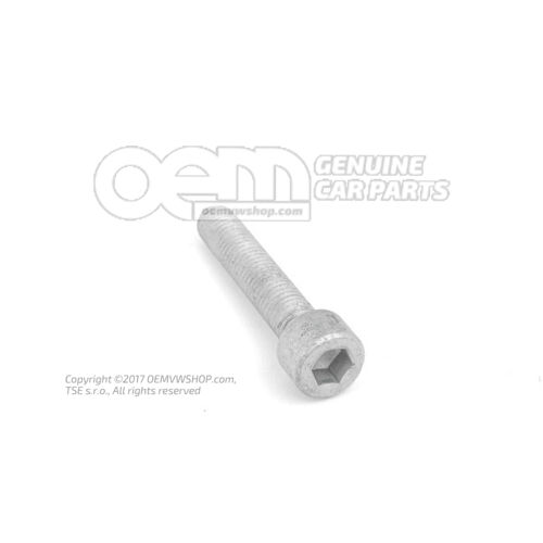 Dugófejű csavar belső többpontos fejjel M10X55 WHT000226