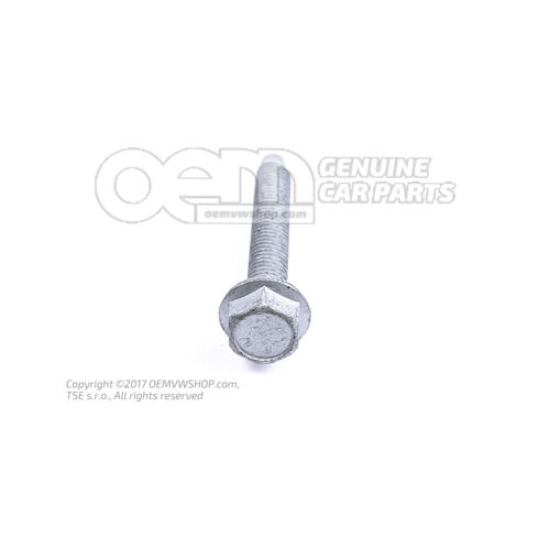 Hatlapfejű csavar M8X55 N  10773401