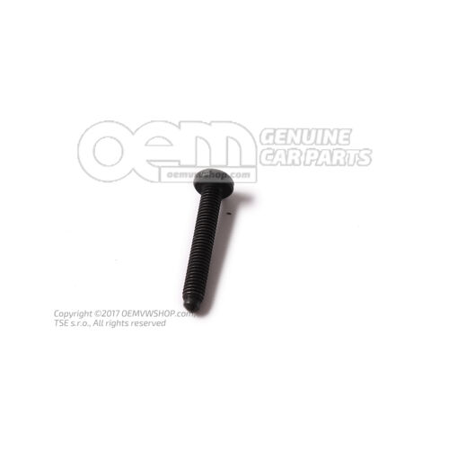 Kerek hd. csavar M6X40 N  10518102