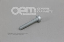 Dugófejű csavar belső, többpontos fejjel N  91102101 (1)