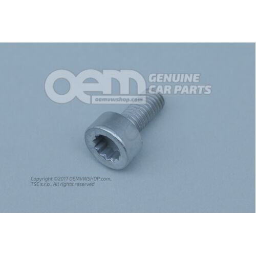 Dugófejű csavar belső többpontos fejjel N  91154701