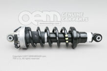 Lengéscsillapító, komplett Audi R8 Coupe/Spyder 42 420512020AJ