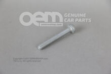 Ovális hatlapfejű csavar M6X48 N  10750101 (1)