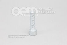 Dugófejű csavar belső többpontos fejjel N  10660901 (2)