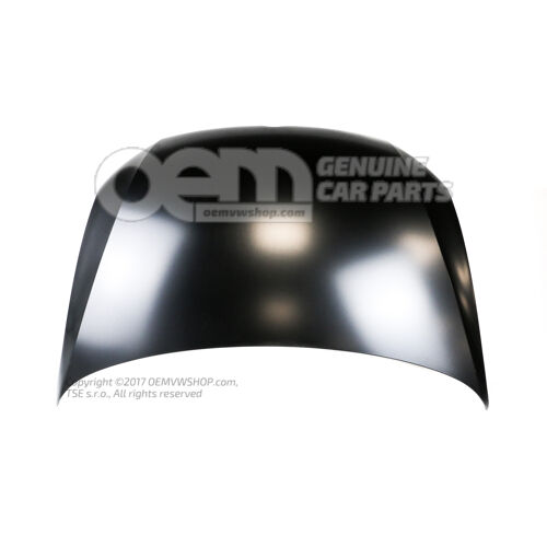 Motorháztető 6R0823031G