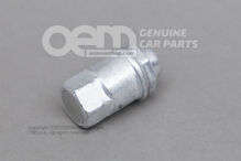 Hegesztett csapokat sapkaanyákkal WHT006925A (1)