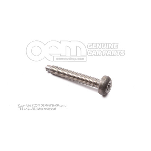 Hatlapfejű lapos fejű csavar M8X55 N  10623801