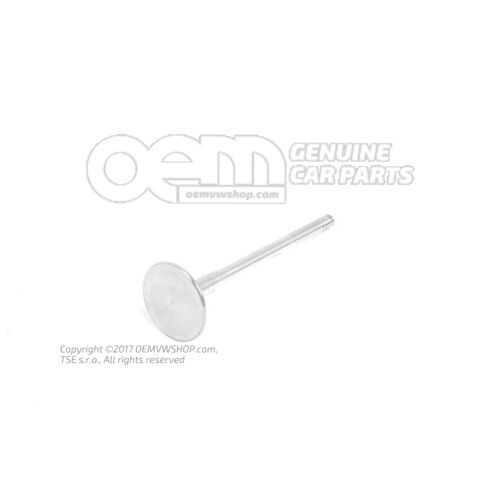 Kipufogó szelep 077109611S