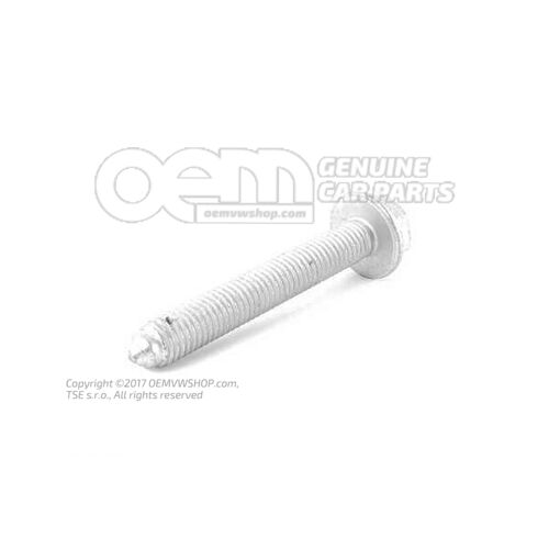 Hatlapfejű csavar M10X70 N  10241508