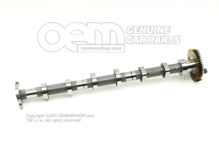 Vezérműtengely 059109011CT