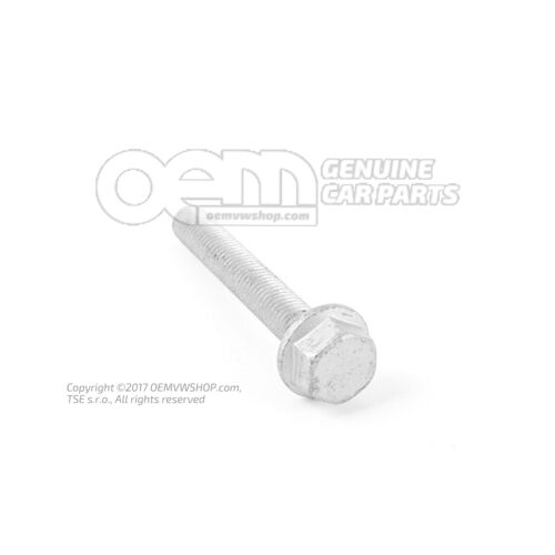 Hatlapfejű csavar M10X70 N  10290206