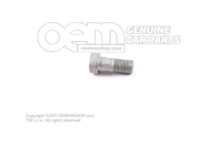 Banjo csavar hatszögletű foglalattal 059103728B