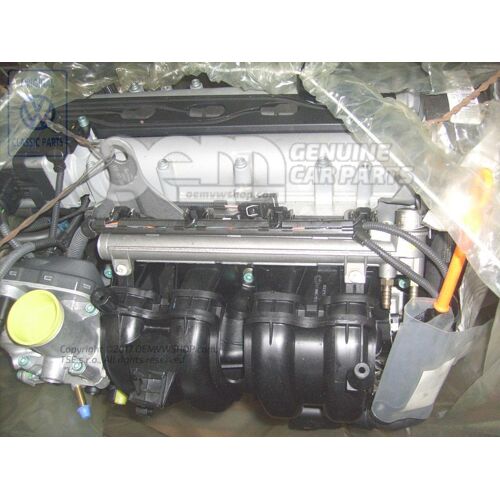 üzemanyag-befecskendező motor 036100014L