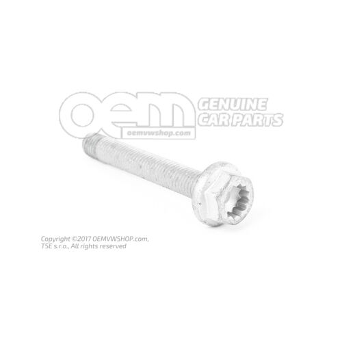 Hatlapfejű csavar belső torx fejjel (Duo) N  10680203